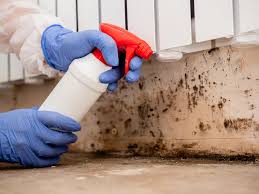 Why You Should Choose Our Mold Remediation Services in Westlake, TX